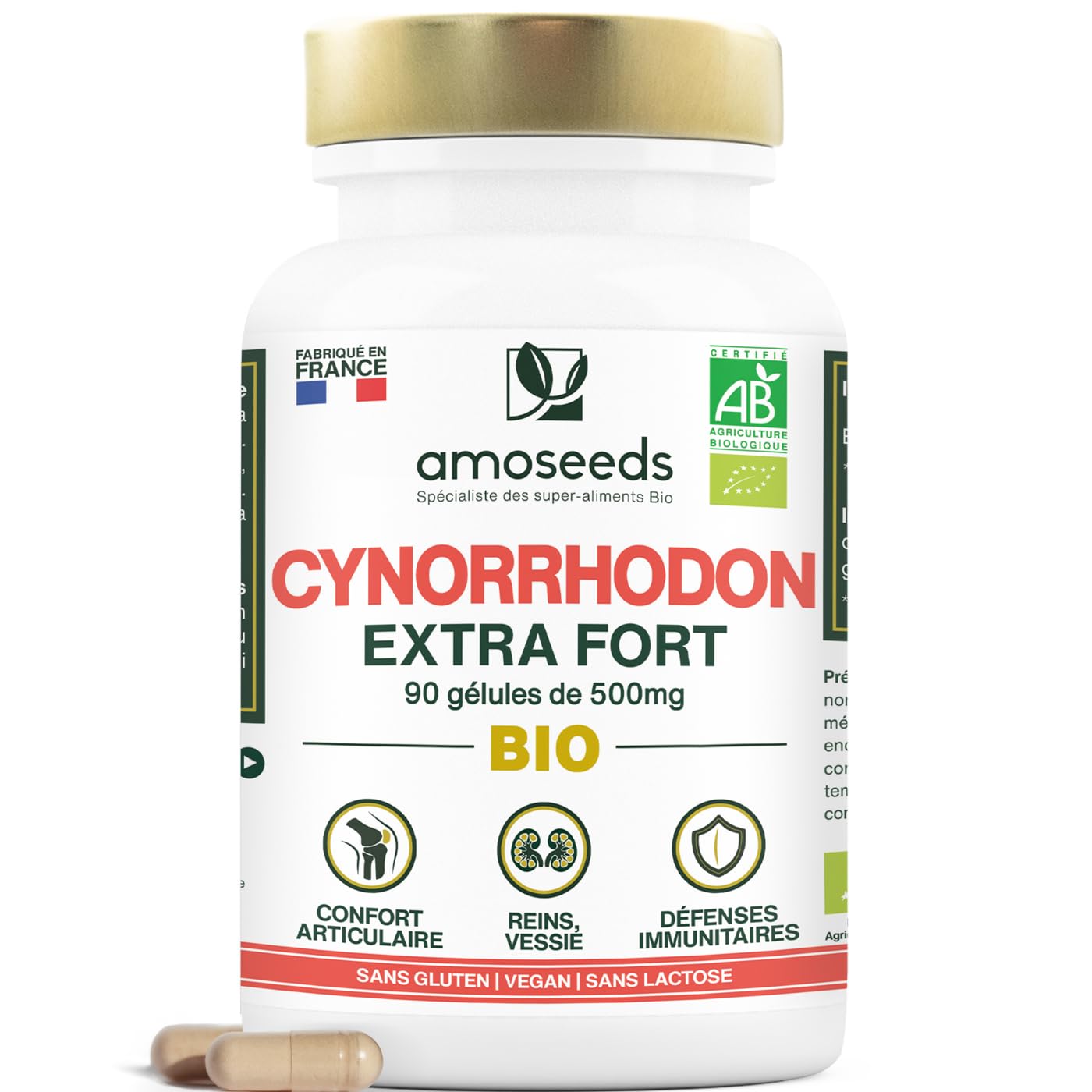 Cynorrhodon BIO | Hautement Dosé : 15 000mg / jour (10:1) | Confort Articulaire, Immunité | 90 gélules de 500mg | Riche en Vitamine C | Qualité Supérieure