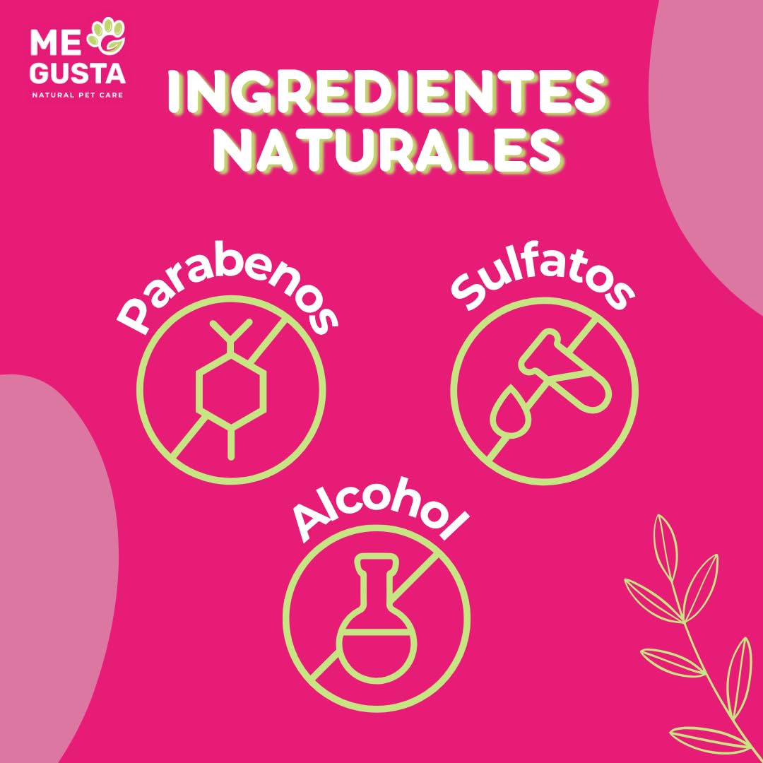 ME GUSTA Collar Repelente para Gatos con 3 Activos Naturales Margosa, Geraniol Y Lavandino | Repele Todo Tipo de Insectos | Fragancia Cítrica | Estuche | 30 cm