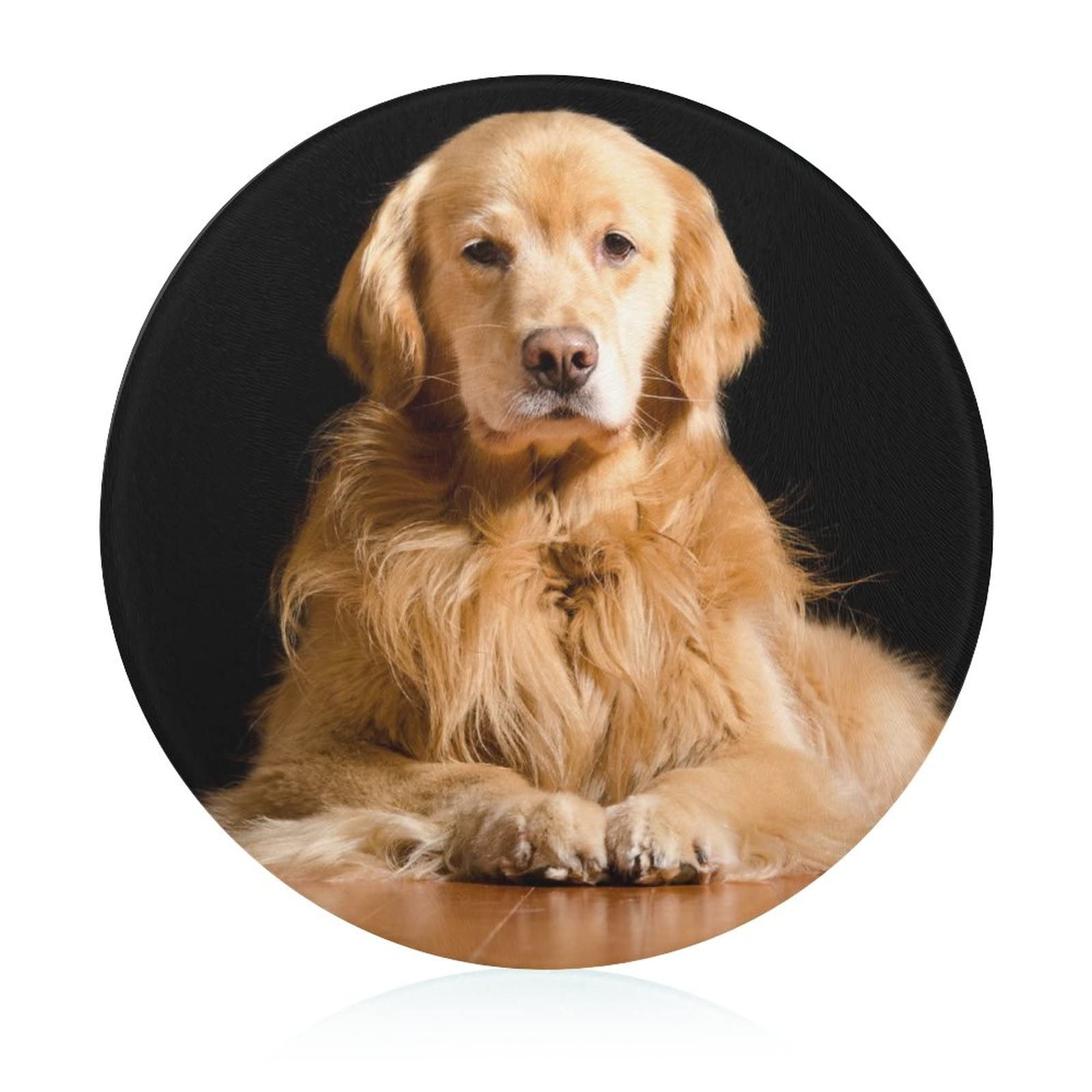 Chien Golden Retriever planche à découper en verre plateau cuisine 20cm