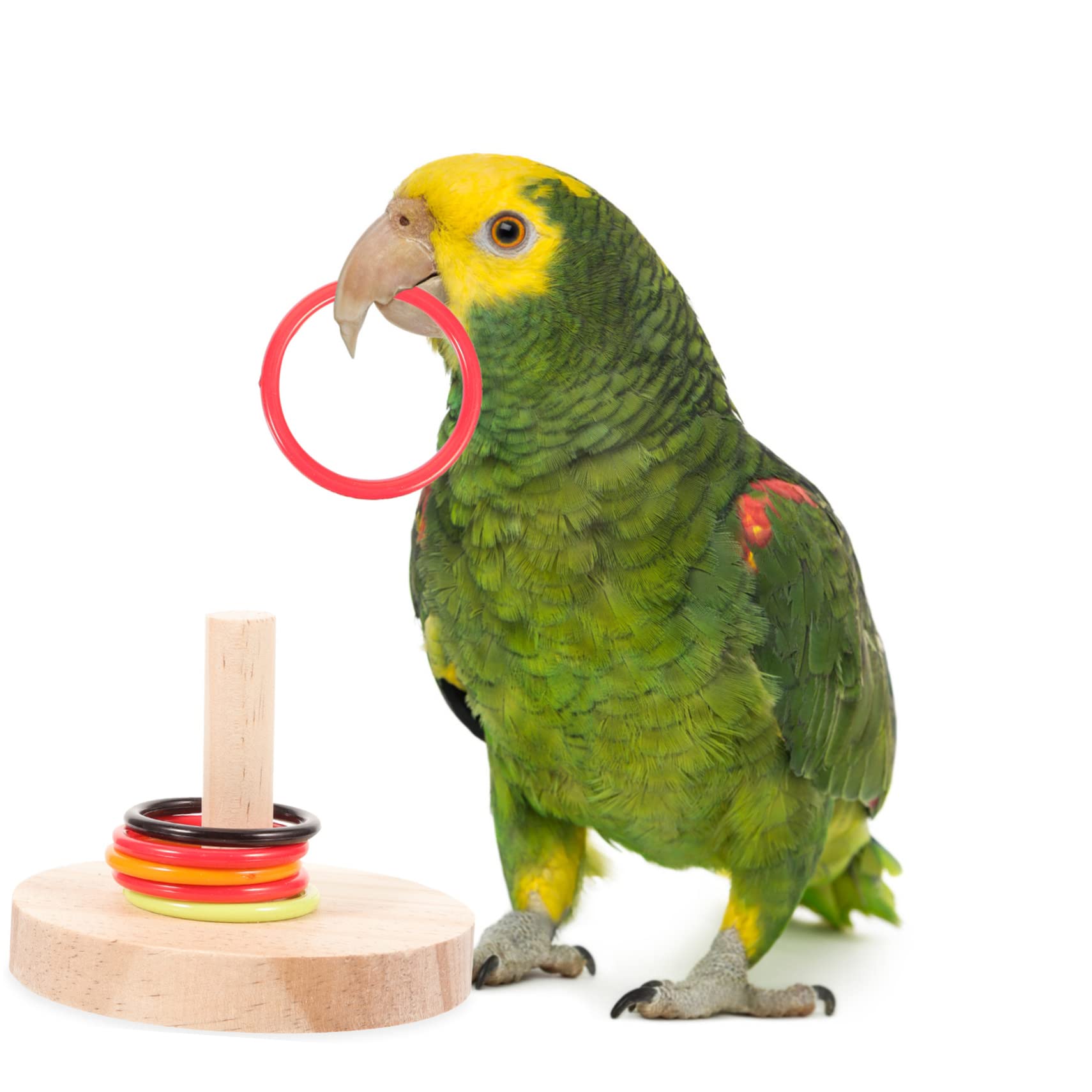 Happyyami 8sätze Parrot Training Toy Teiliges Intelligenzspielzeug Für Vögel Bestehend Aus Holzringen Für Papageien Und Wellensittiche Fördert Spiel Und Gesundheit