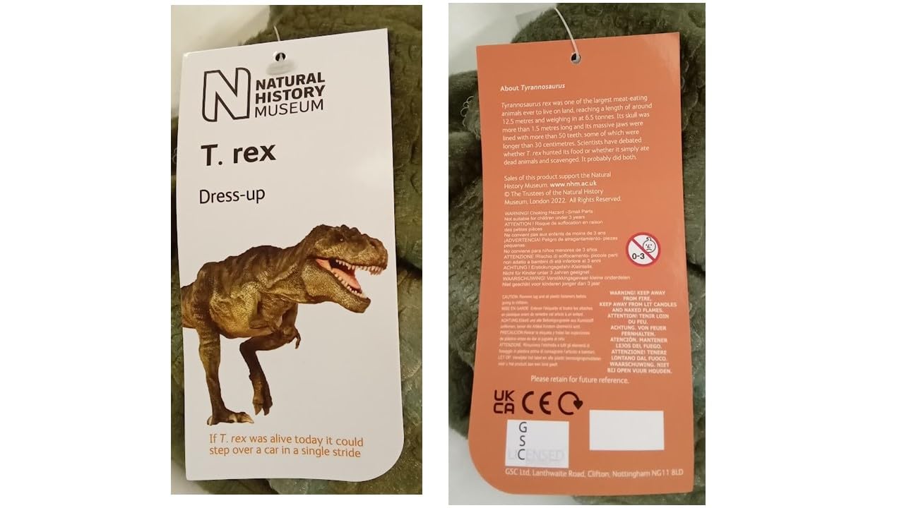 Pretend to Bee 1912 Tutina da dinosauro per bambini, unisex, 2-3 anni, di alta qualità, da dinosauro, costume da dinosauro Unisex - Bambini