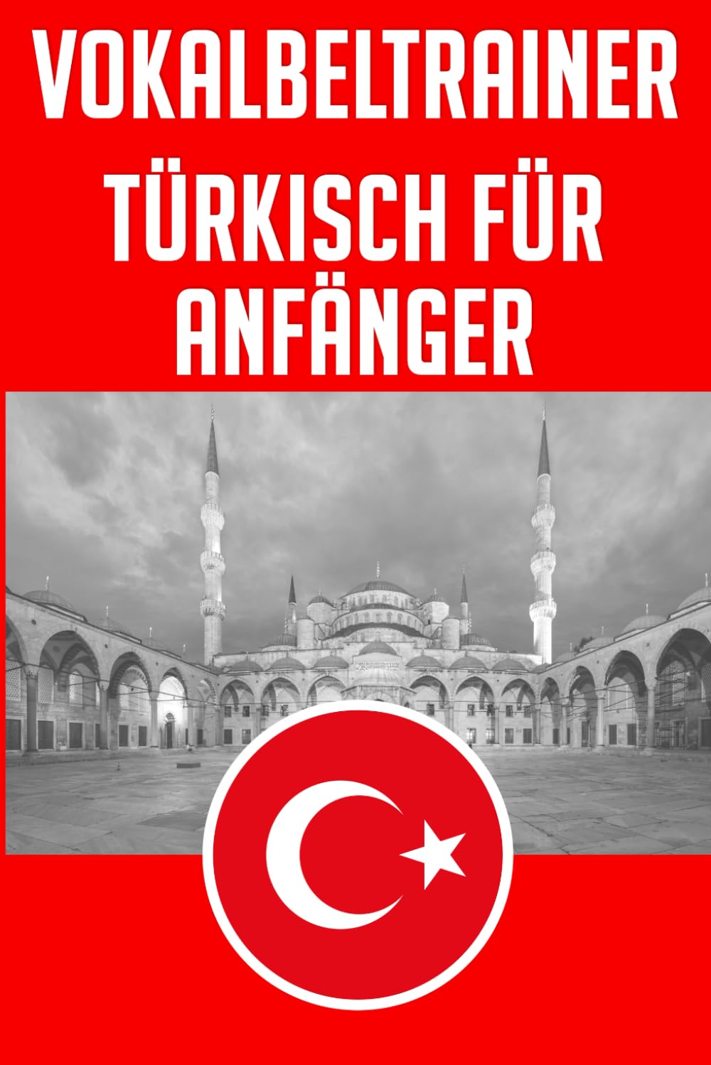Vokabeltrainer Türkisch: Türkische Vokabeln für Anfänger (A1/A2) - Die wichtigsten Wörter inkl. Aussprache – Türkisches Vokabelbuch