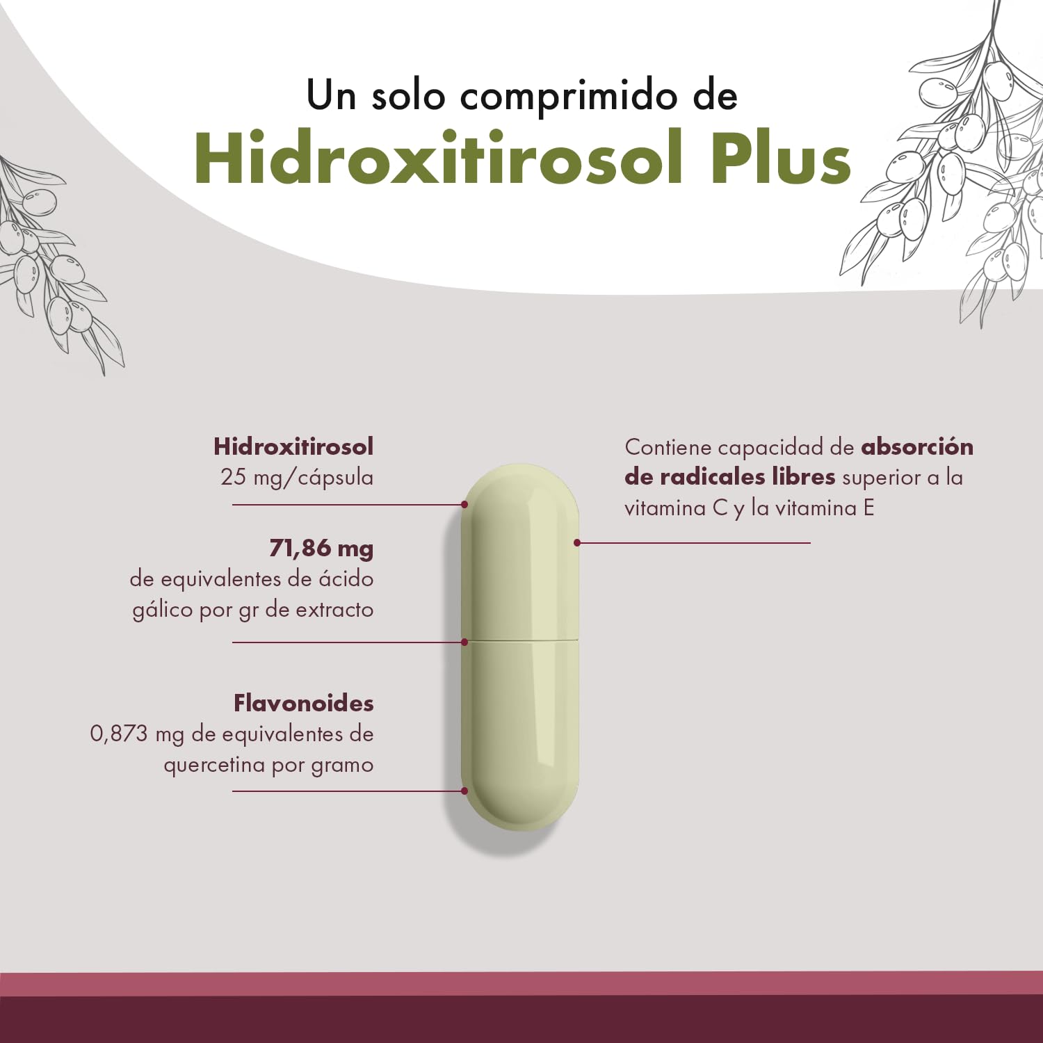 Granatum Plus - Hidroxitirosol Plus - Complemento Alimenticio - Extraído de Aceite de Oliva Virgen Extra - Suplemento Antioxidante - Bienestar General - Producido en España (2 Cajas de 60 cápsulas)