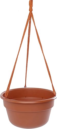 Miniatura 1 de Bloem DCHB12-46 Terra Dura Cotta - Cesta colgante 120in