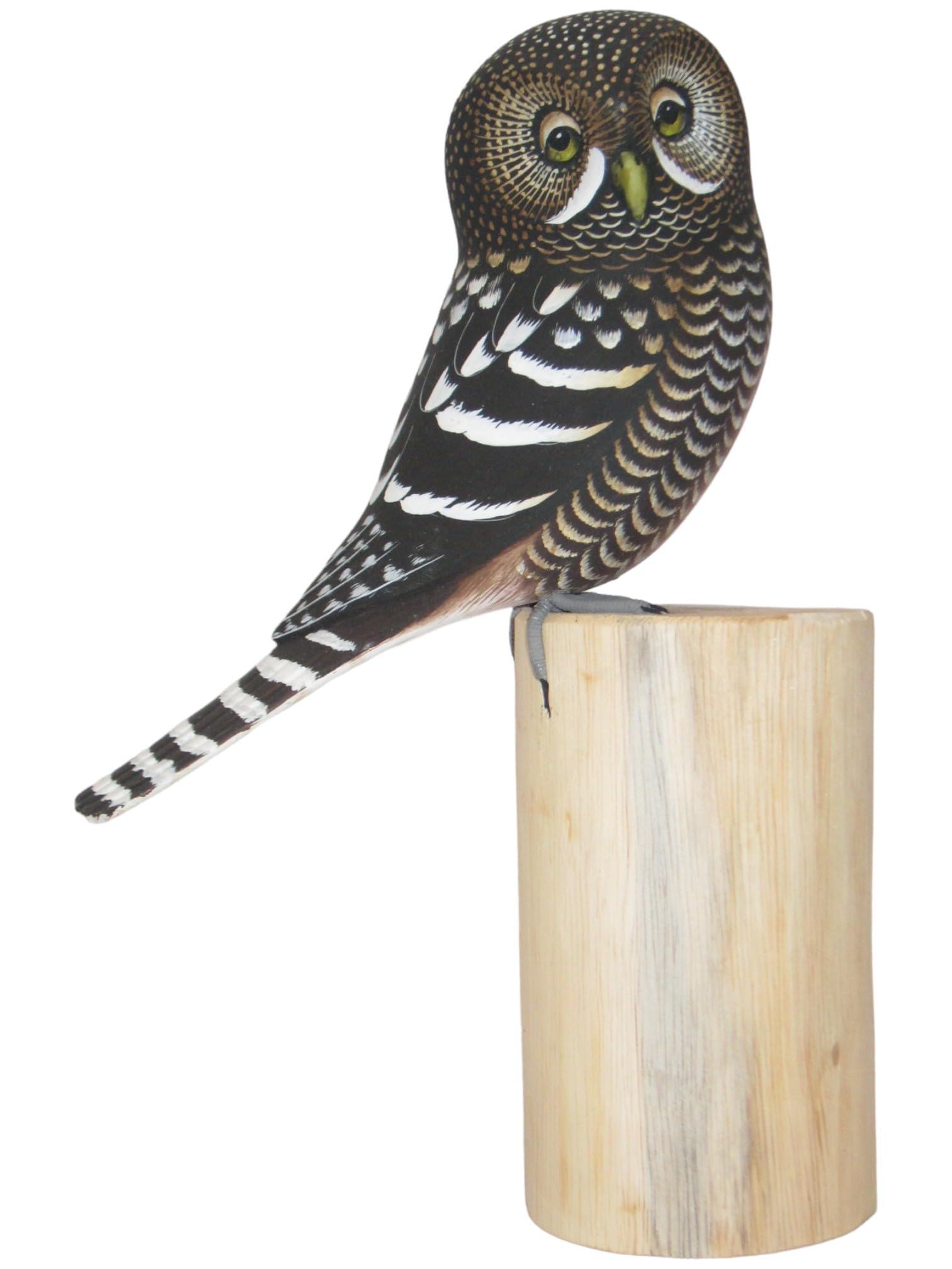 Brave Wings Hand Carved Wooden Owl ~ Northern Pygmi Owl 28Cm High ~ Ornament Sculpture Figurine Statue Unique Table Decoration Home Decor ~ 5285