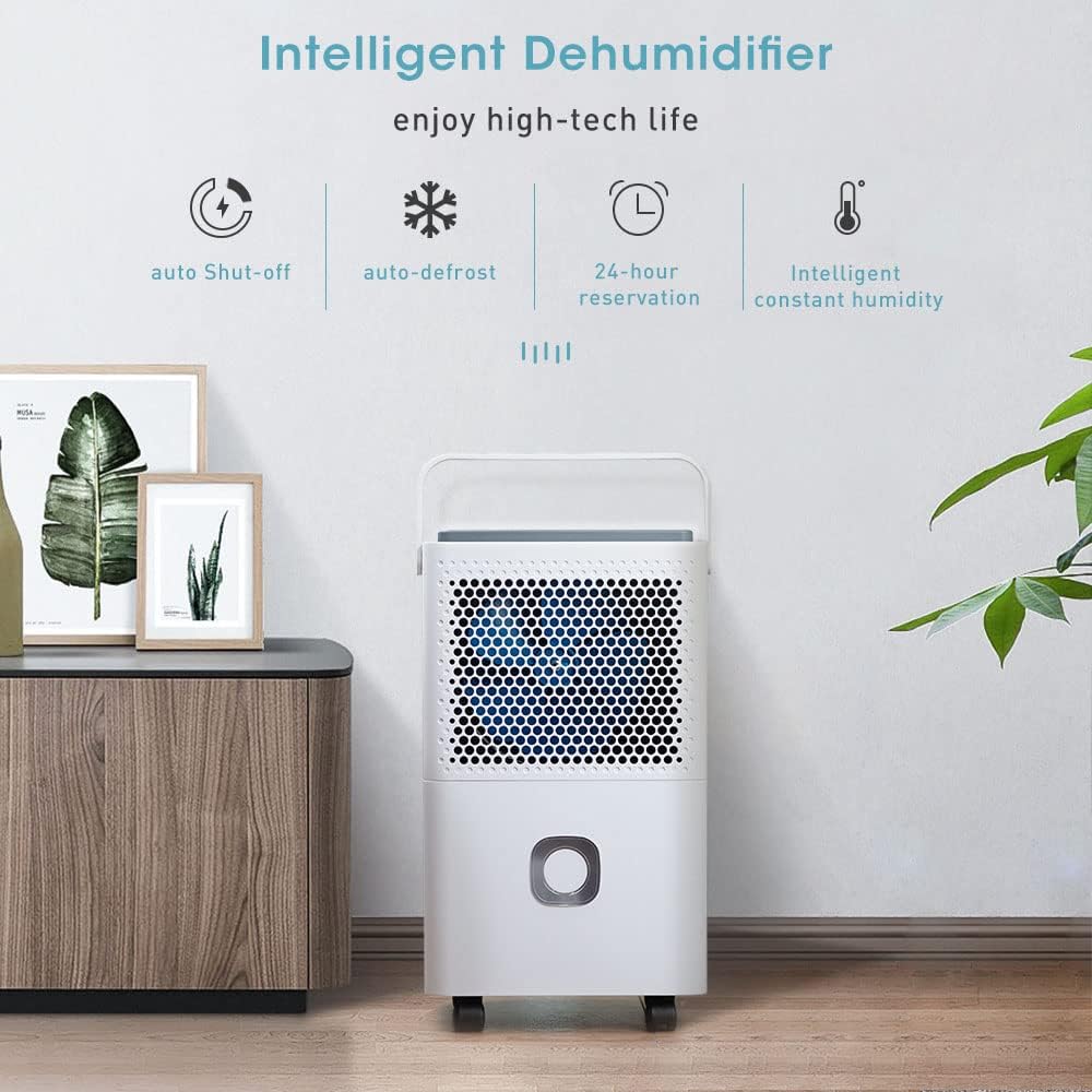 Foto del Deshumidificador