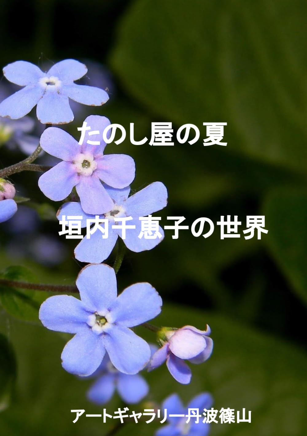 たのし屋の夏: 垣内千恵子の世界
