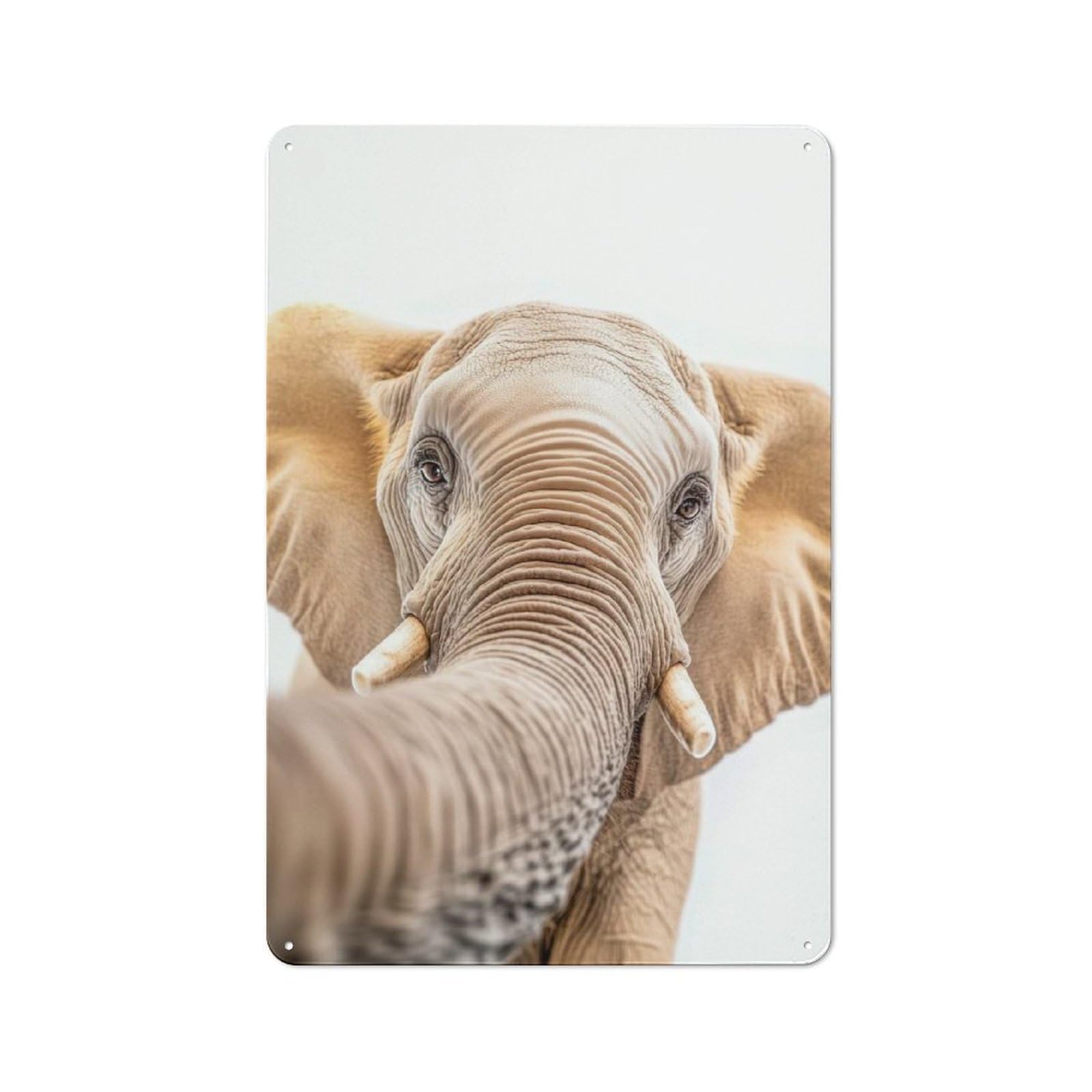 Elephant Selfie Metal Wall Sign 30x20cm, Modern Retro Loft Wall Plaque for Flat, Bar, Studio Or Gallery Wall