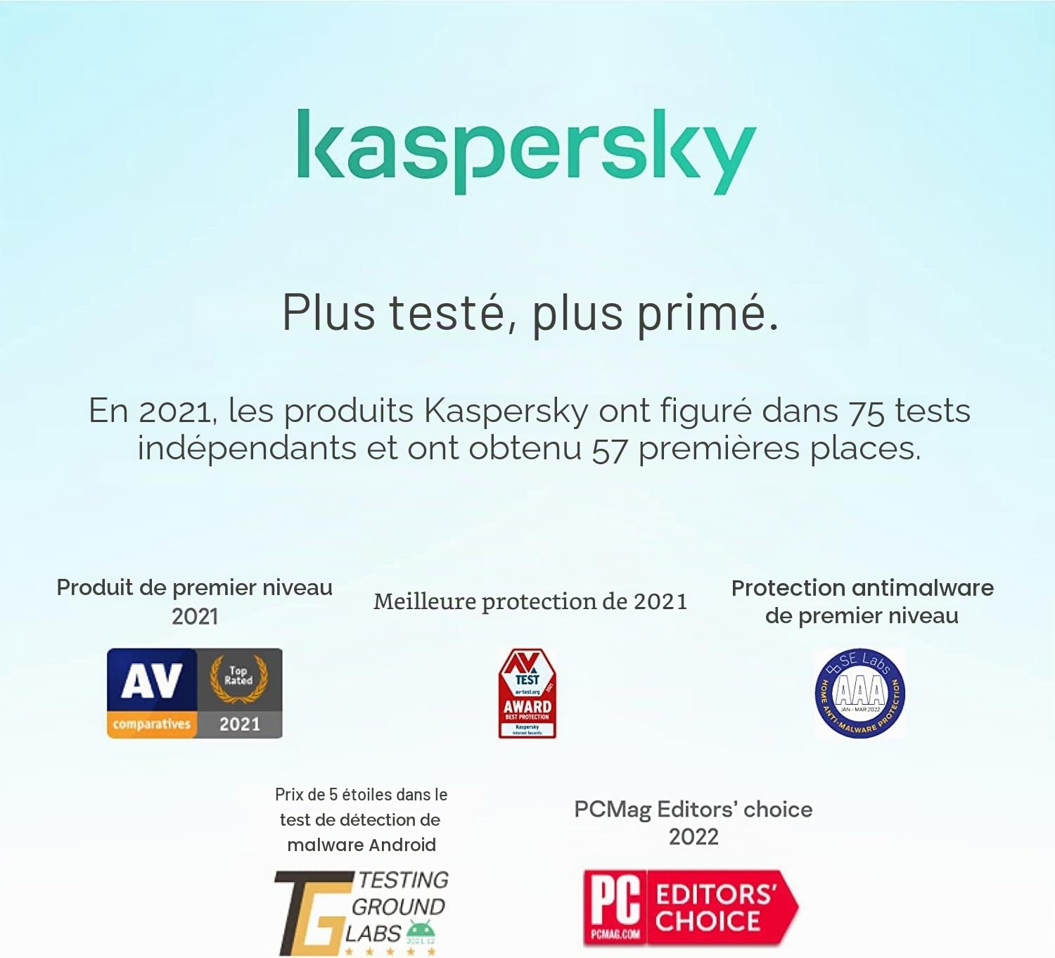 KASPERSKY STANDARD 10L/1A