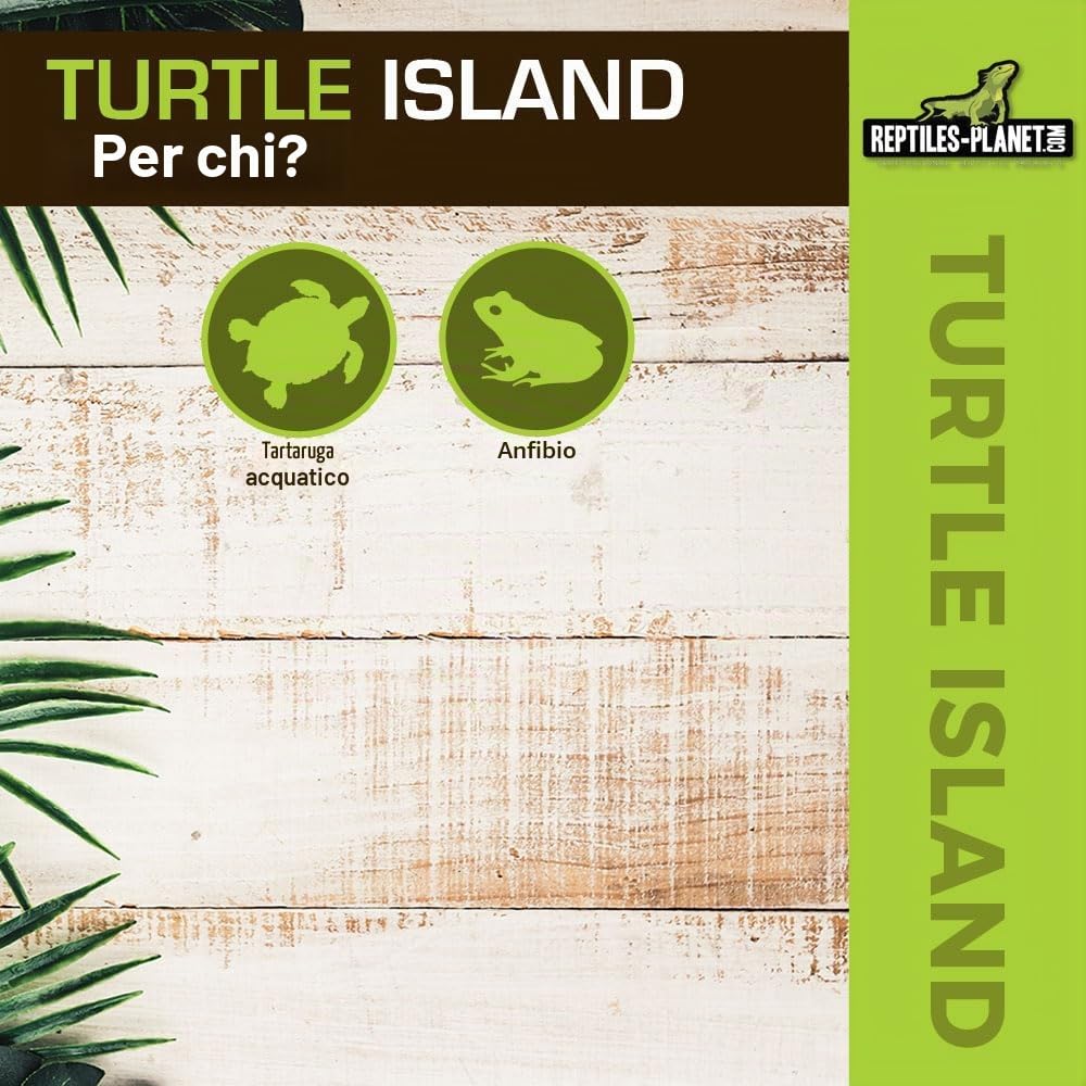 Reptiles-Planet Tartaruga Isola per Tartarughe acquatiche, Grande