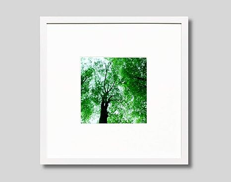Amazon Co Jp Igrebow インテリアフォト 写真 長野県 森の巨木 オリジナルプリント 額入り 木製額 白 風景インテリア フォト アート インテリアアート アートフレーム ウォールアート 壁掛け フォトフレーム 額 額縁 額装 おしゃれ 家電 カメラ