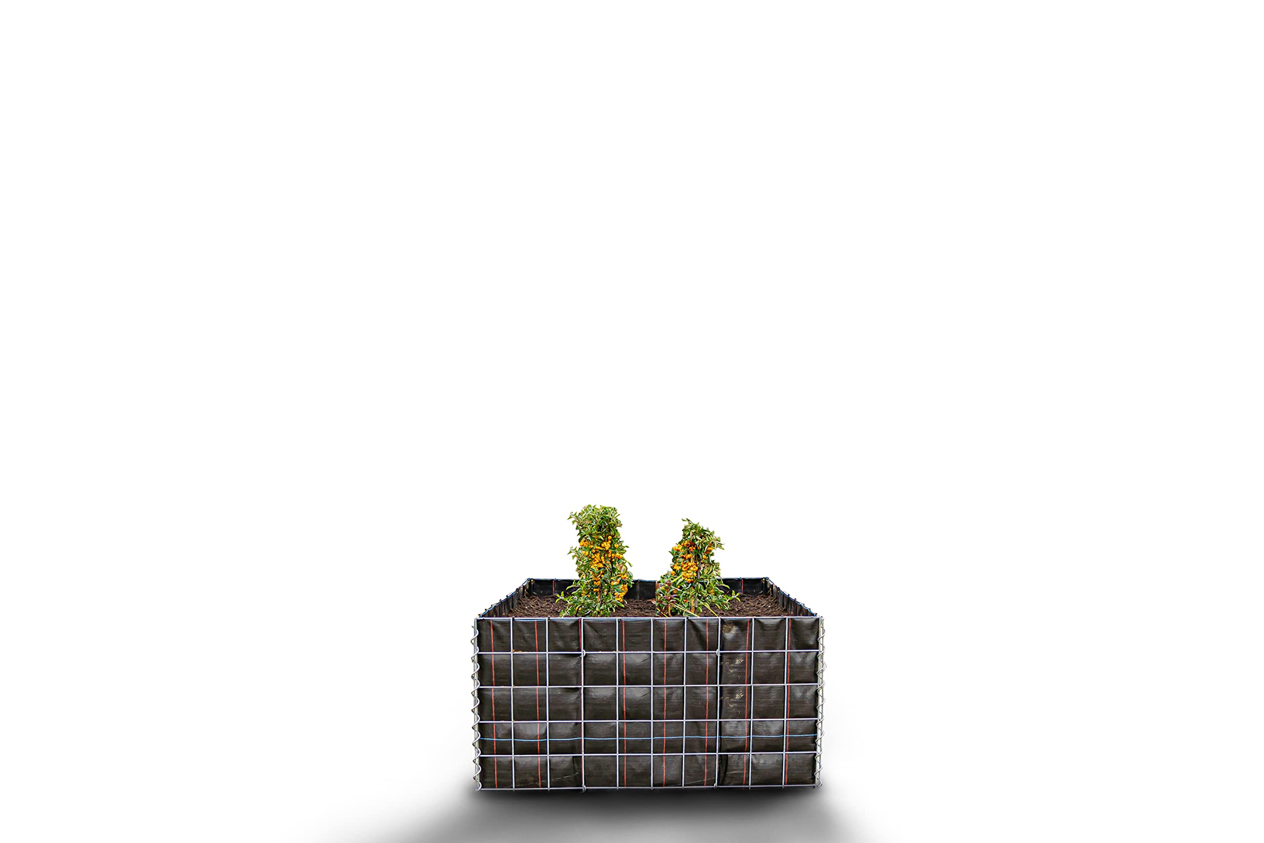 Gabiona - Hochbeet LxHxB: 100 x 50 x 50 cm - Eckiger, verzinkter Drahtkorb inkl. Vlies als Pflanzkübel für den Garten - Einfache Montage