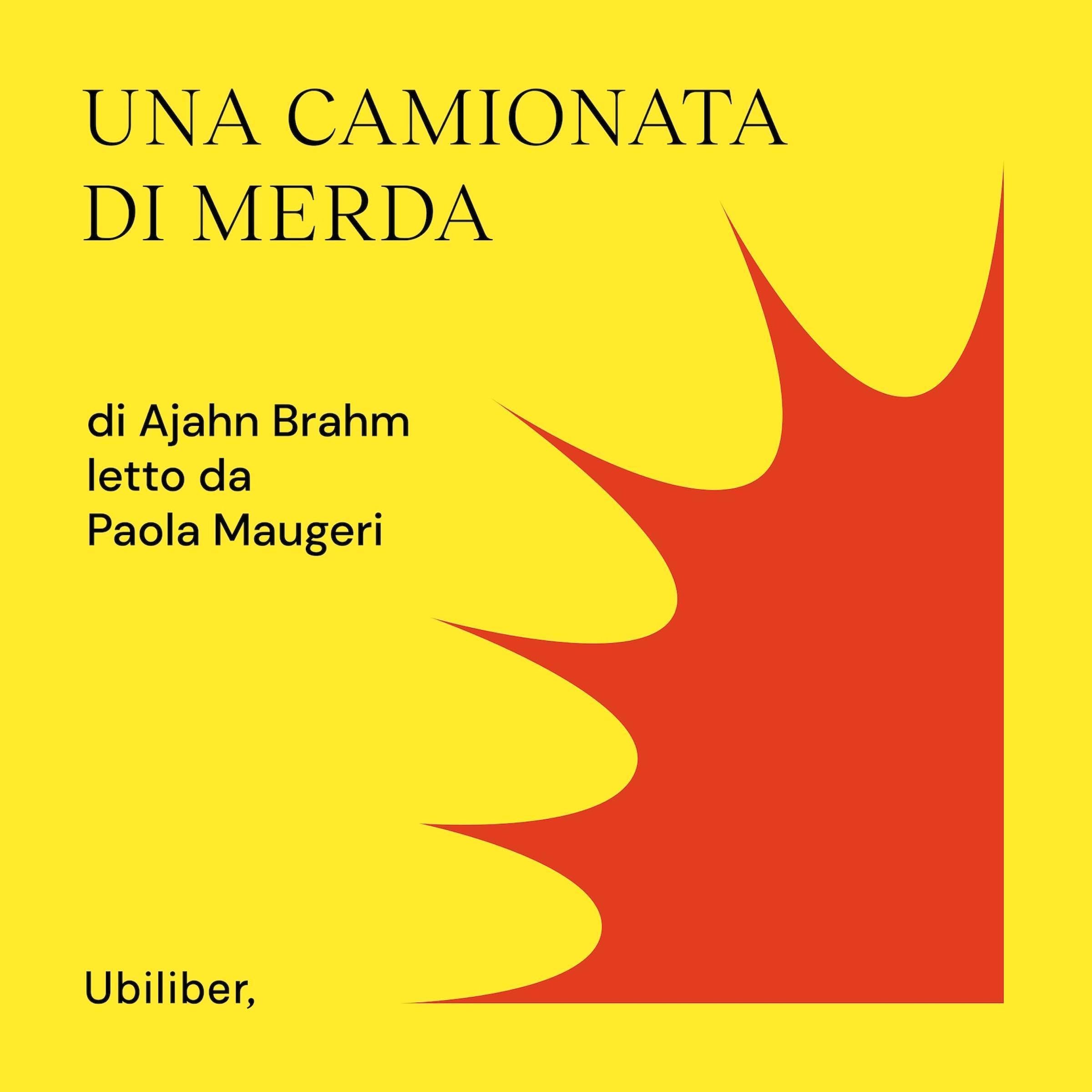 Una camionata di merda: e altre storie di quotidiana felicità
