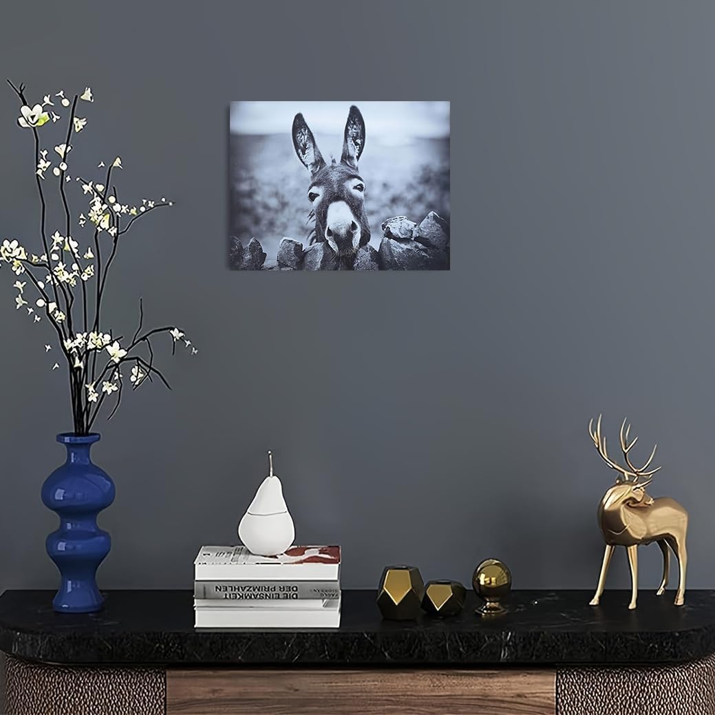 HSFFBHFBH Funny Donkey Canvas Wall Art Black White Animals Pictures Print on Canvas Farmhouse Mural Cute Donkey Framed Poster Bathroom Art Home Office Children's Room Decor Painting 16x24inch