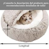Ver la foto 8