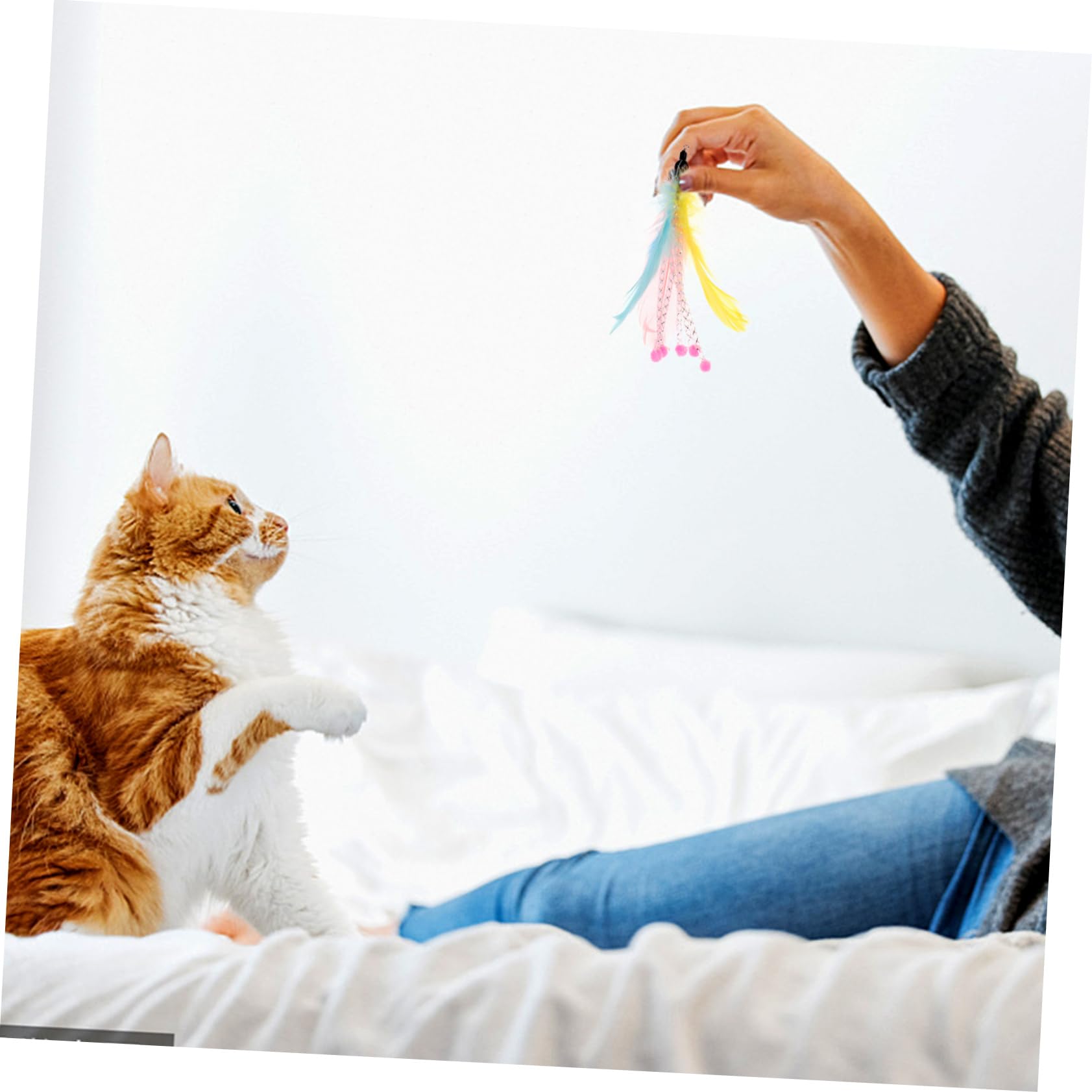 Kisangel 40pièces Jouets Plume pour Chats Canne à Interactive Remplacement De Jouets pour Chats Stimule Exercice Comportement