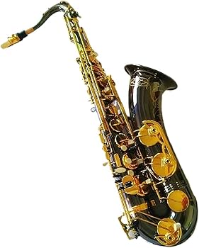 Amazon.co.jp: サックス テナーサックス B フラット楽器黒ニッケル