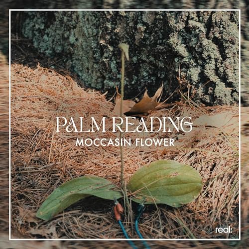 Palm Reading