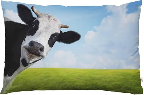 Miniatura 8 de EKOBLA Funda de almohada marrón, caballo corriendo, caballo fresco, nieve, diseño moderno, decoración de la naturaleza de invierno, funda de