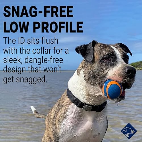 Road Id ID-19-SL-PET-BLACK Silent Dog Tags Personalized For Pets | Jingle Free & Slide thumb #3