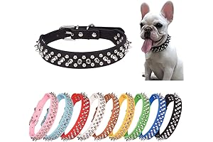 Spiked Dog Collar: Mushroomed Edge Protection for your Furry Friend