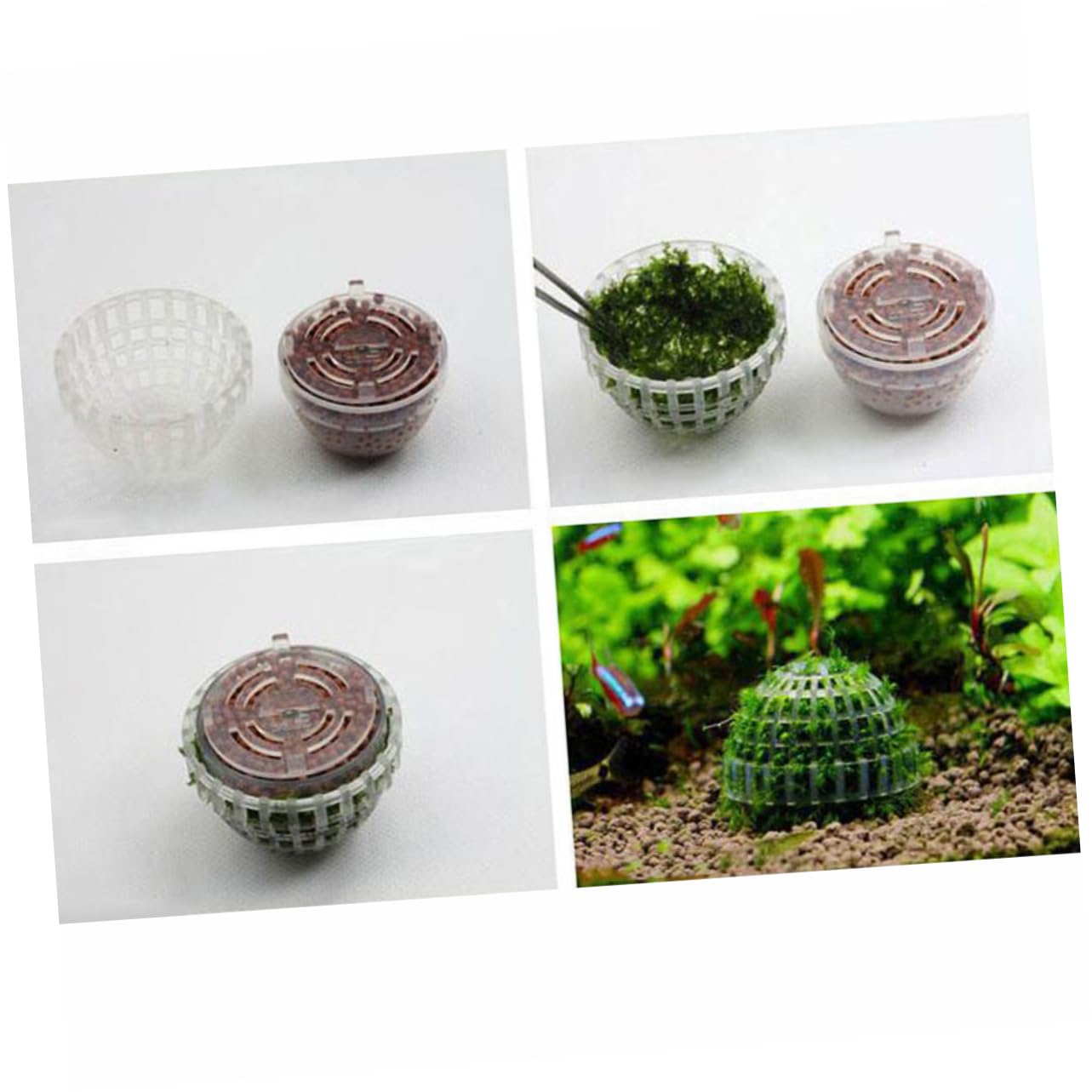 Casa Decorativa per Gamberetti Trasparente Sfera di Muschio in Plastica per Acquari, Struttura a Vite, Purifica L'acqua e Favorisce la Crescita delle Piante Acquatiche