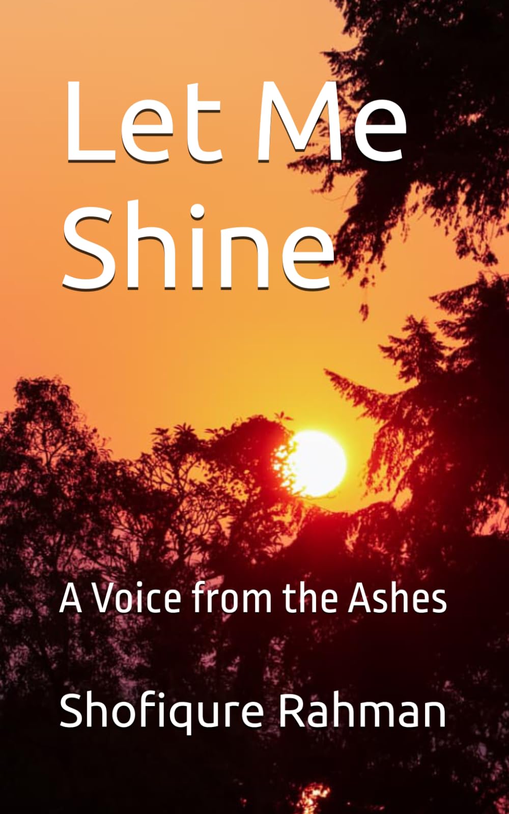 Let Me Shine: A Voice from the Ashes