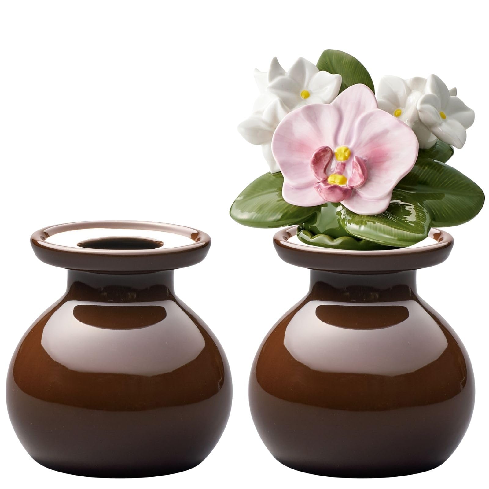 Amazon.co.jp: セトクラフト 花レンヌ 「100年 枯れない花hana