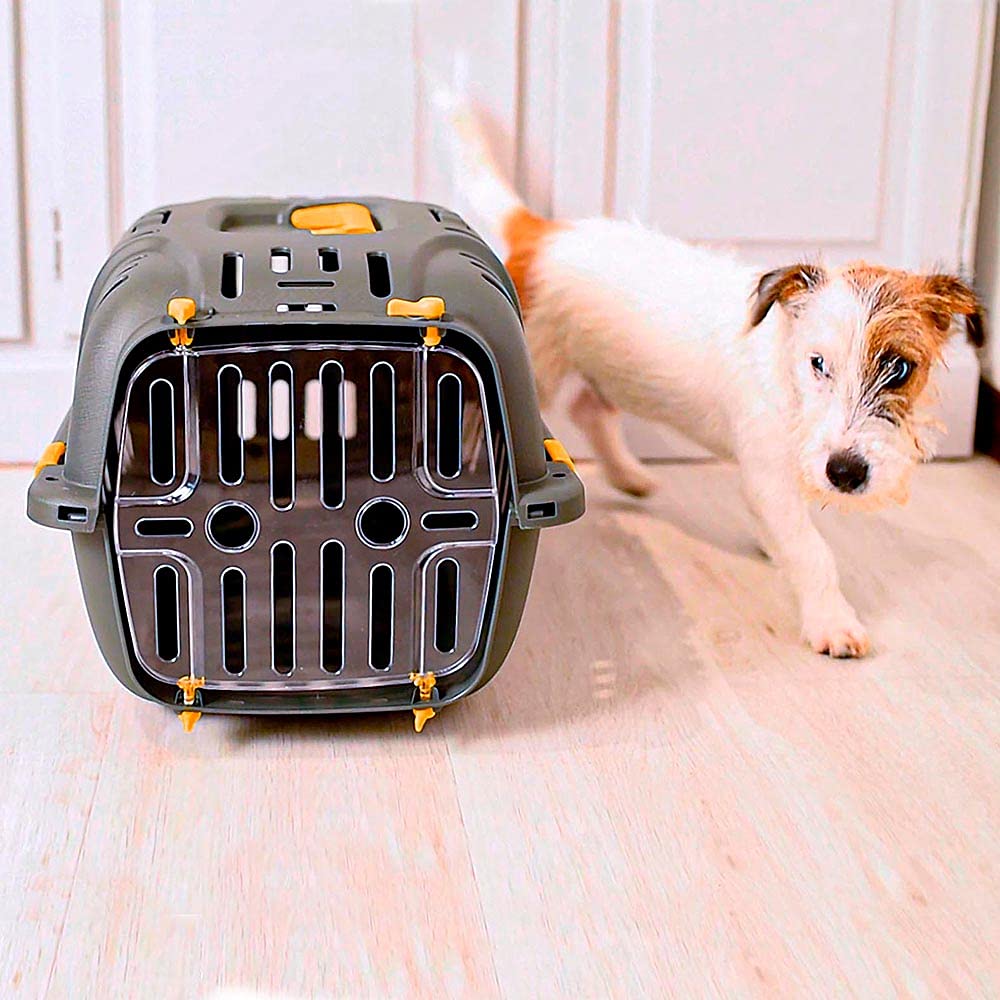 Ferplast Trasportino Rigido per Cani Piccoli e Gatti Jet 10, Porta Trasparente Antiurto, Griglie di aerazione