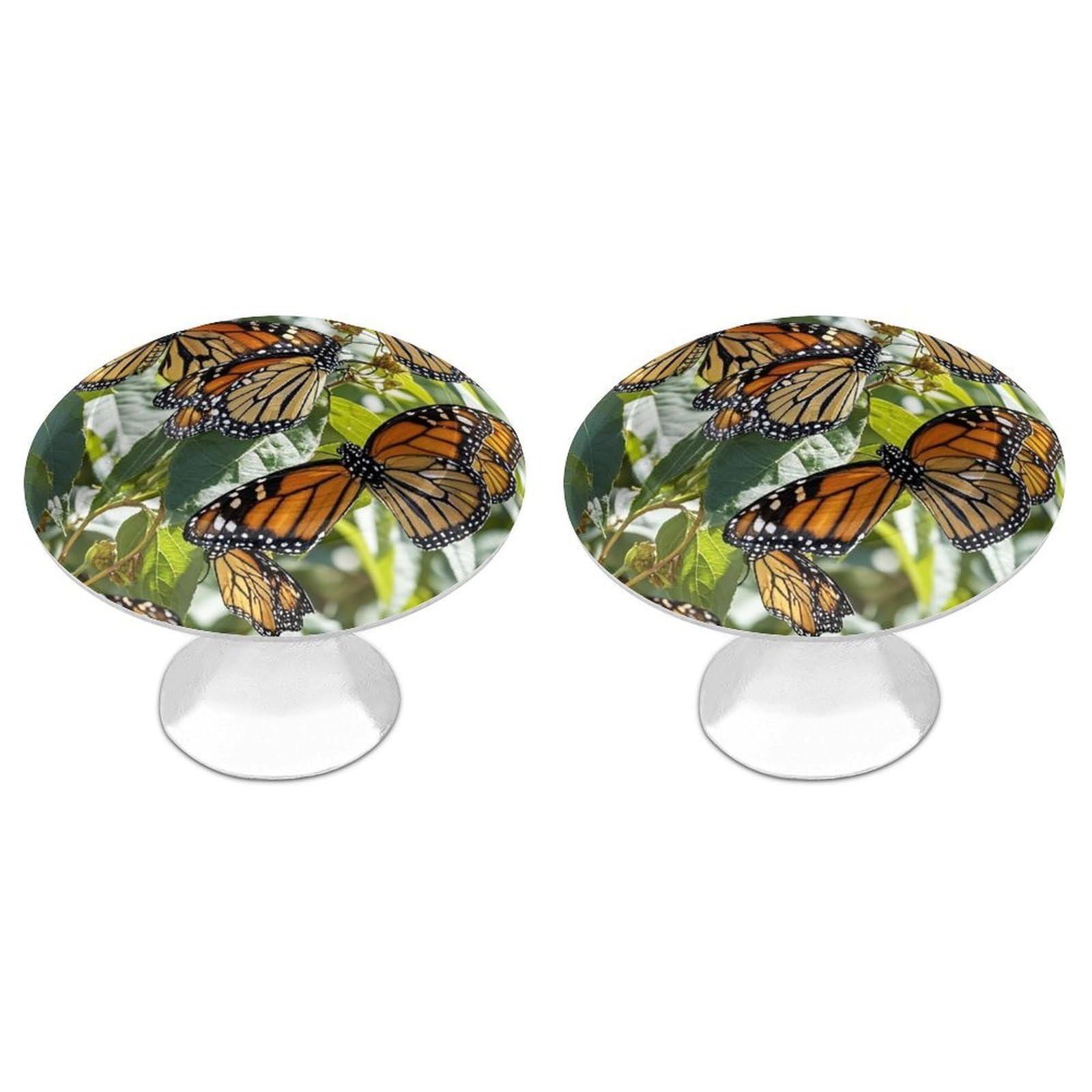 Fekiloot Style Round Cabinet Knob 2 Pack Kitchen Drawer Knobs Stainless Steel Round Drawer Pulls Modern Cabinet Hardware Monarch Butterflies Drawer Hardware For Dresser Closet Door Knobs