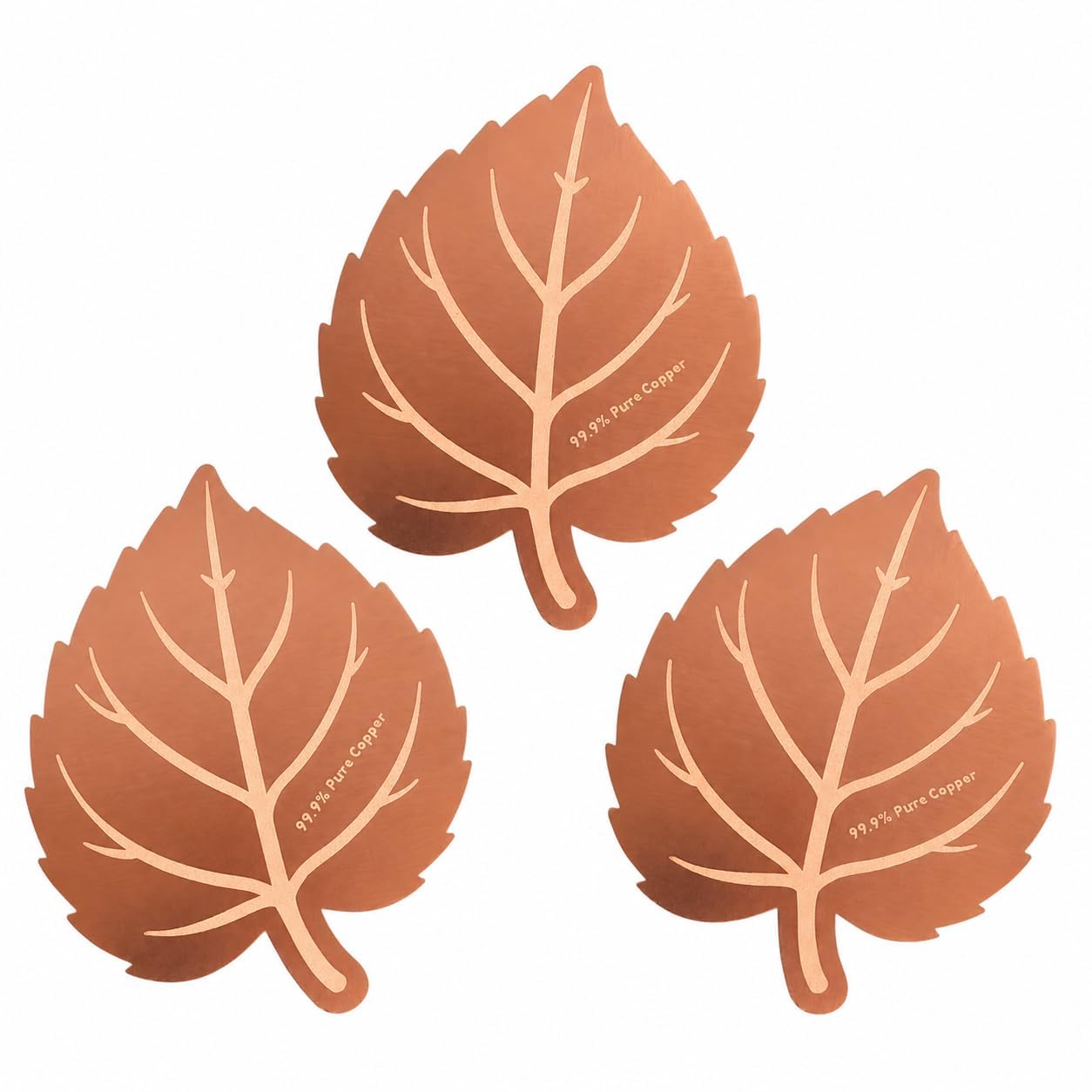 3Pcs Bird Bath Copper Disk 99.99% Pure Copper 0.6mm Cleaning Outdoor Linden