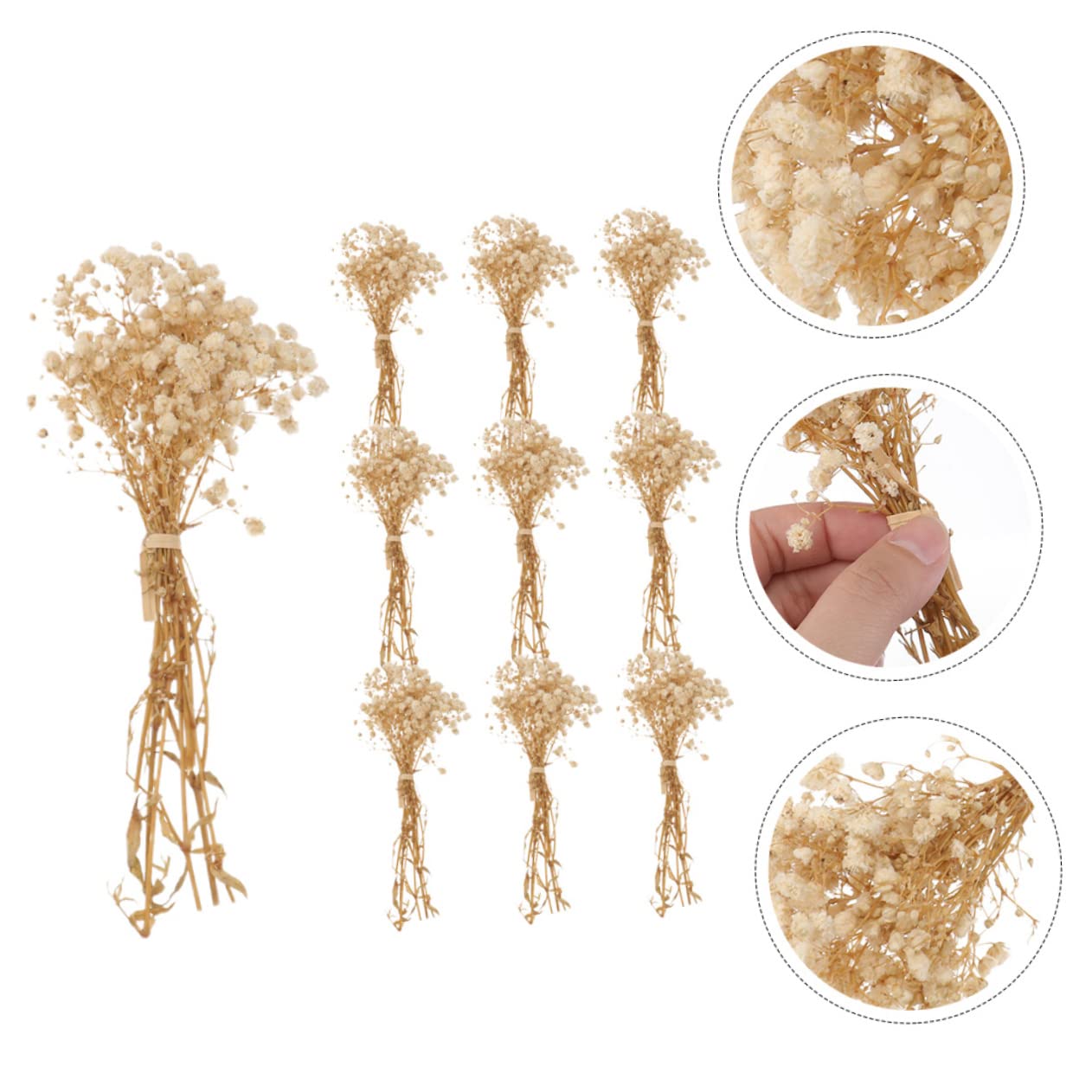 PRETYZOOM 2pièces Bouquets De Fleurs Séchées De Gypsophile De Décorations Naturelles pour Arrangements Floraux pour Décoration De Table Et Intérieur Bouquets De Mariage Et Bricolage