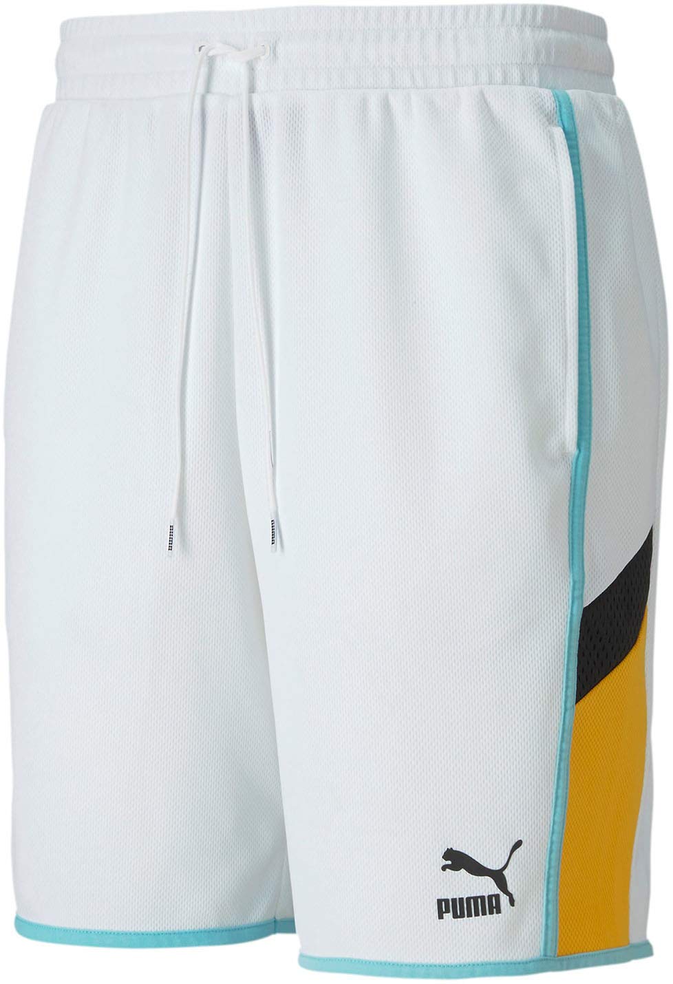 PUMA ICONIC MCS - Shorty Mężczyźni