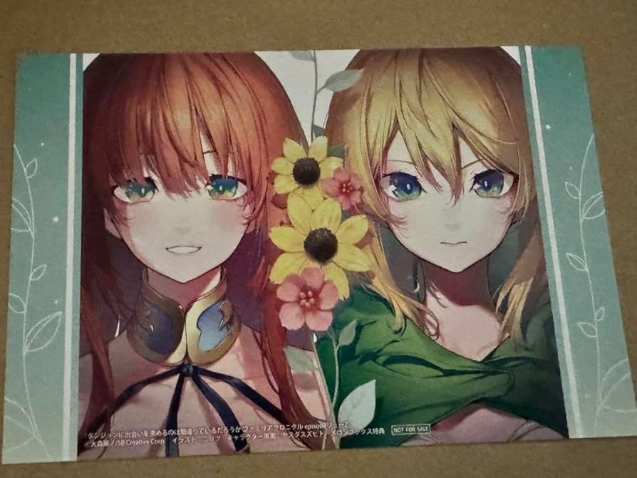 Amazon.co.jp: ダンまち ファミリアクロニクル episodeリュー 2