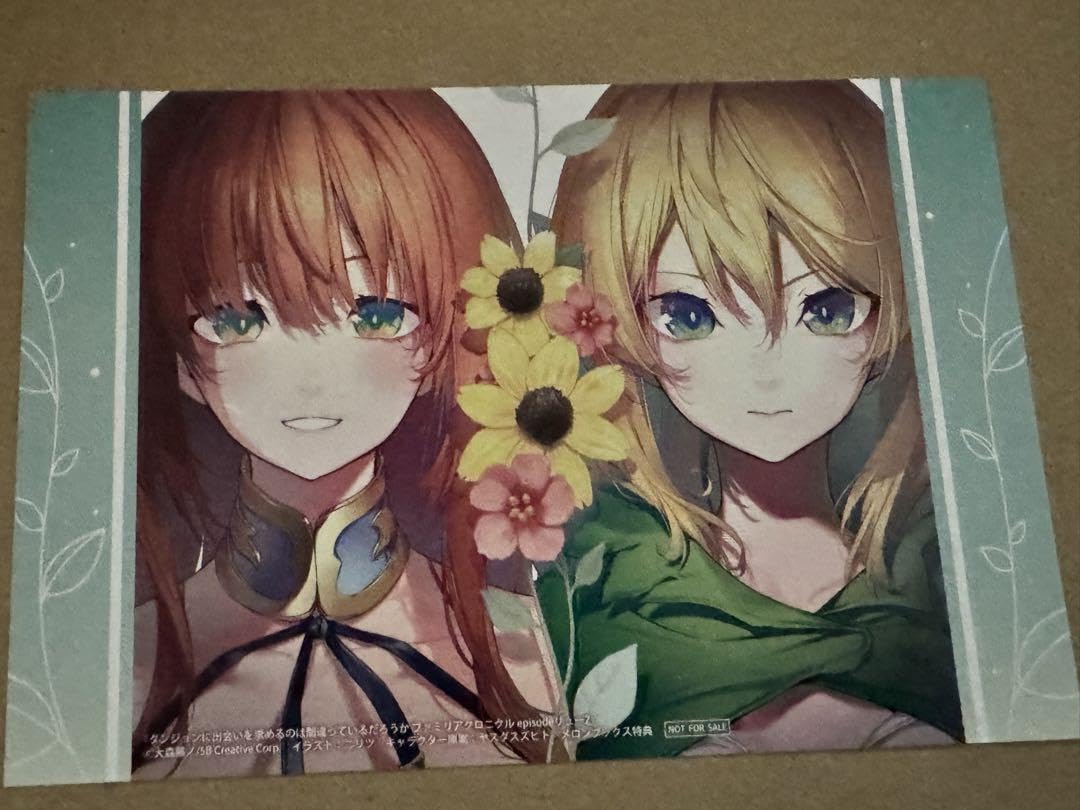 ダンまち ファミリアクロニクル リュー クリアファイル ゲーマーズ　特典 ダンジョンに出会いを求めるのは間違っているだろうか ファミリア