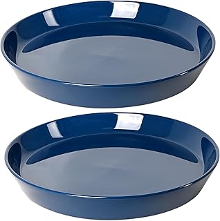 2 Pack Ceramic Plant Saucer 4 Inch, Heavy Duty Plant Pot Tray for Indoor...