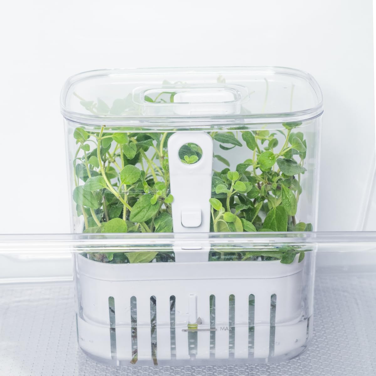 OU ORGANIZADOR DE TEMPEROS CLEAR FRESH 1,5L