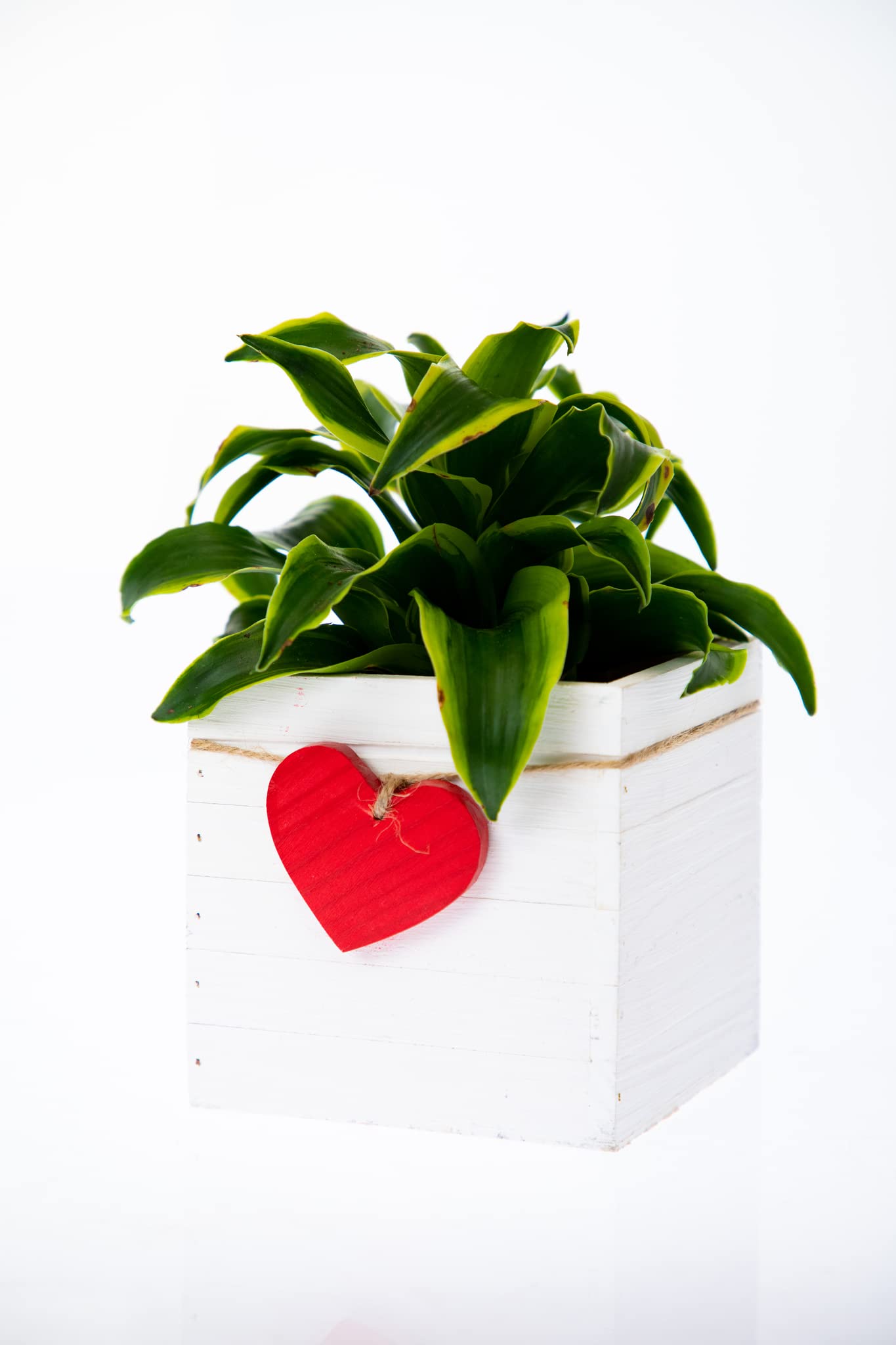 Love Wood Planter Box l 4 Inches Square l Wooden Boxes with Plastic Liner l Wedding Flowers Holder (Set of 6) (4