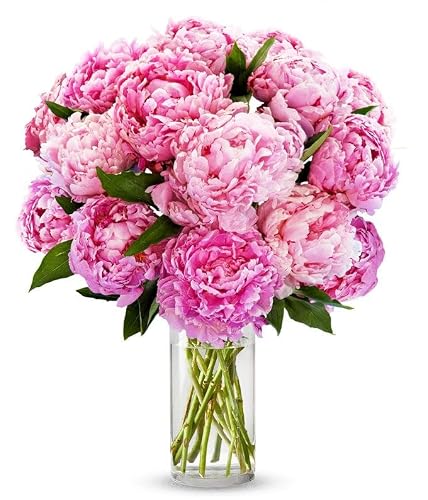 From You Flowers Pretty Pink Peonies Deluxe with Glass Vase