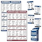 Palace Learning 3 Pack: Dumbbell Workouts + Resistance Bands Exercise Poster Set + Dumbbell Exercise...