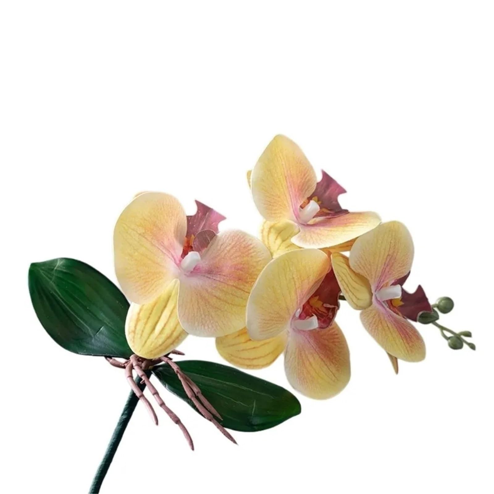 DSFVERVD Artificial Butterfly Orchid Artificial Moth Orchids Realistic