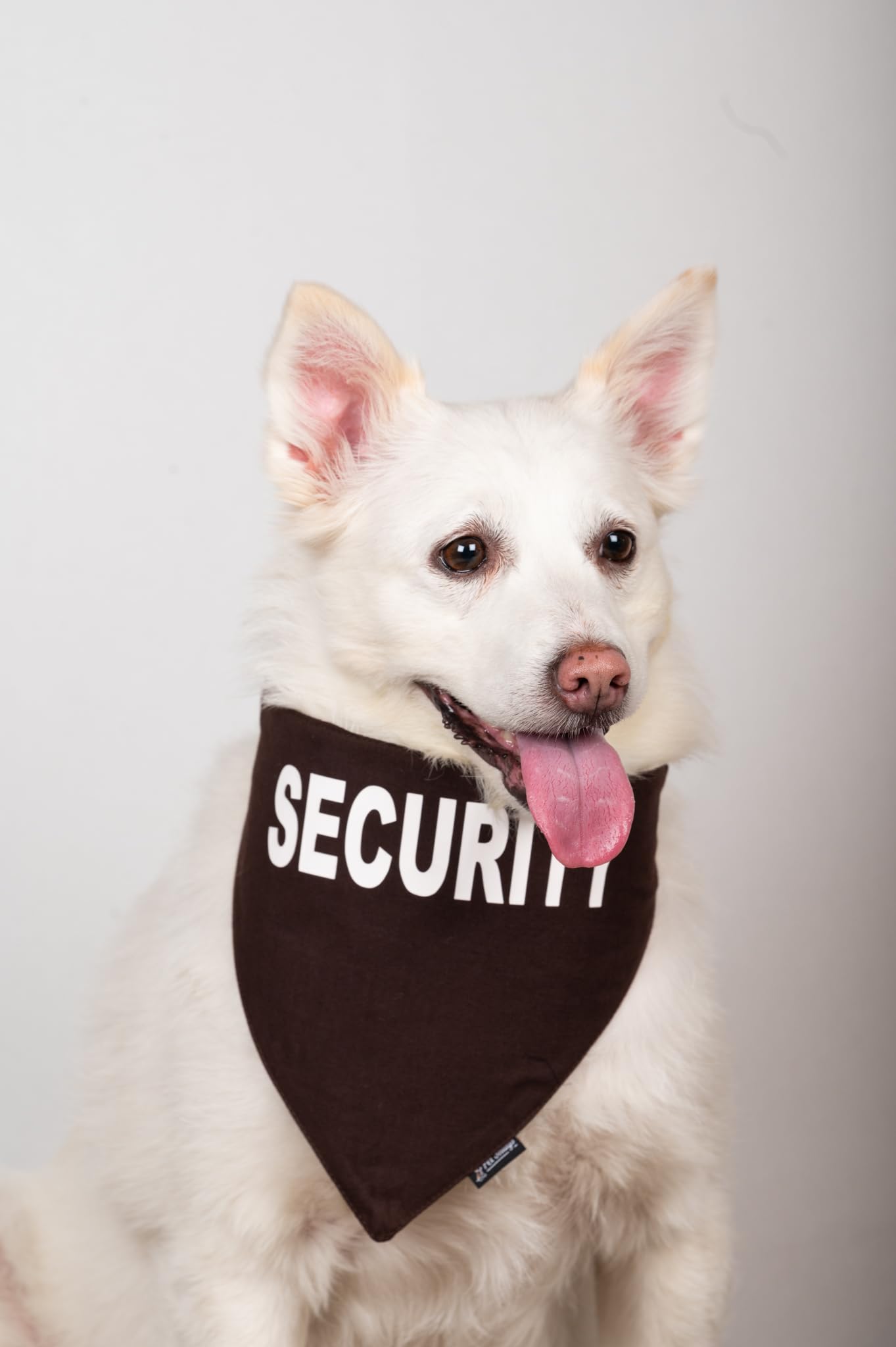 See full amazon price history chart for Petsnugs Security Bandana- Brown (L) Petsnugs Security Bandana- Brown (L) (B0C49MQ2HT) Amazon Price History, Amazon Price Tracker