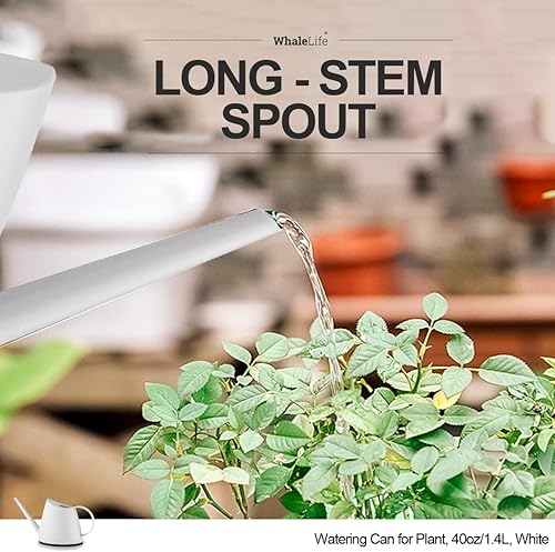 Miniatura 73 de WhaleLife Regadera interior para plantas de bonsái de casa (1.4L, verde)