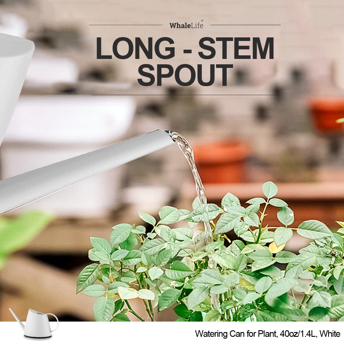 WhaleLife Indoor Watering Can for House Bonsai Plants Garden Flower Long Spout 40oz 1.4L 1/3 Gallon Small Modern White - Image 4