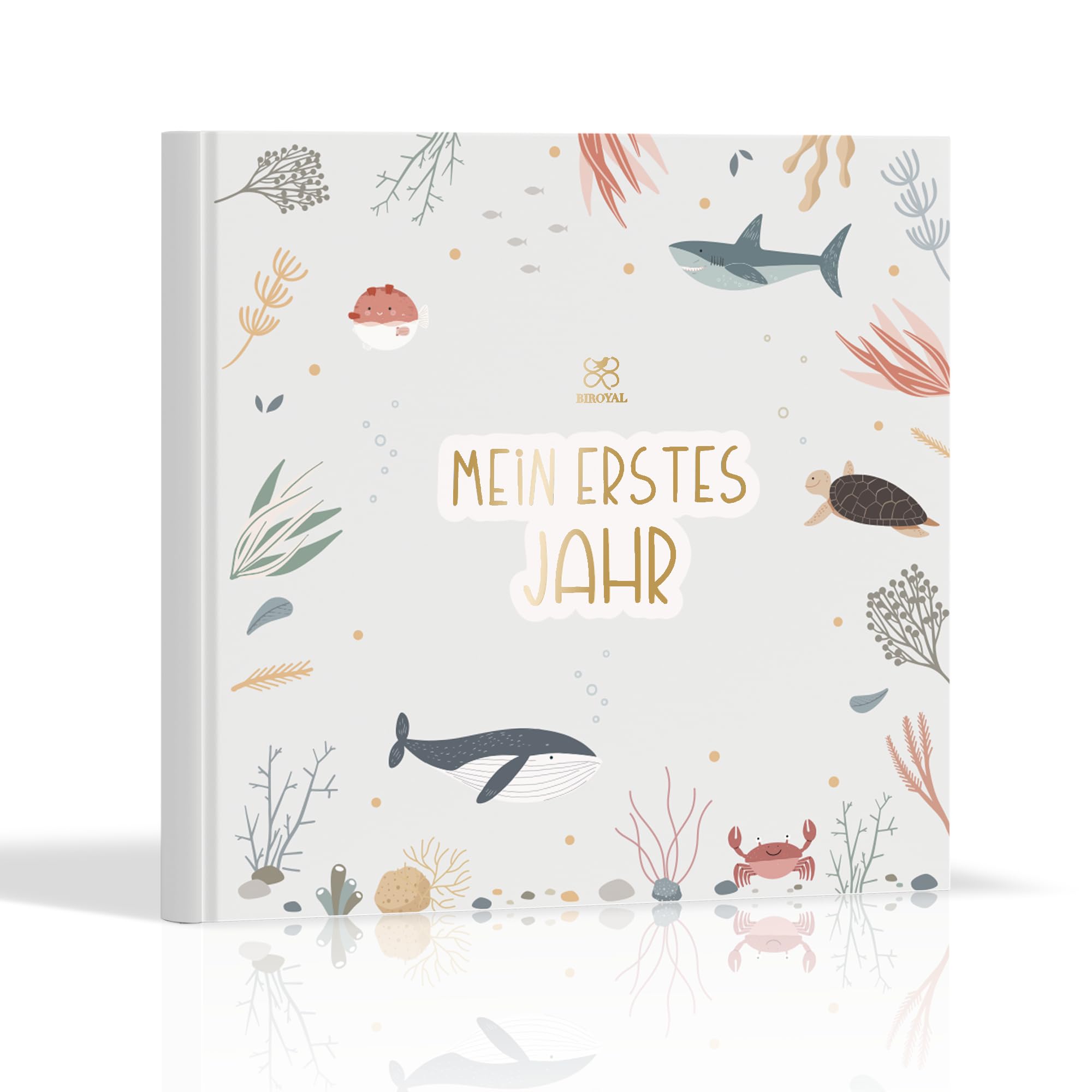 Mein erstes Jahr Babyalbum mit viel Platz für Fotos & stabilem Papier, Fotoalbum Baby Erinnerungsbuch, Babytagebuch zum Eintragen für das erste Lebensjahr 21x21cm, Baby Geschenk Geburt Junge & Mädchen