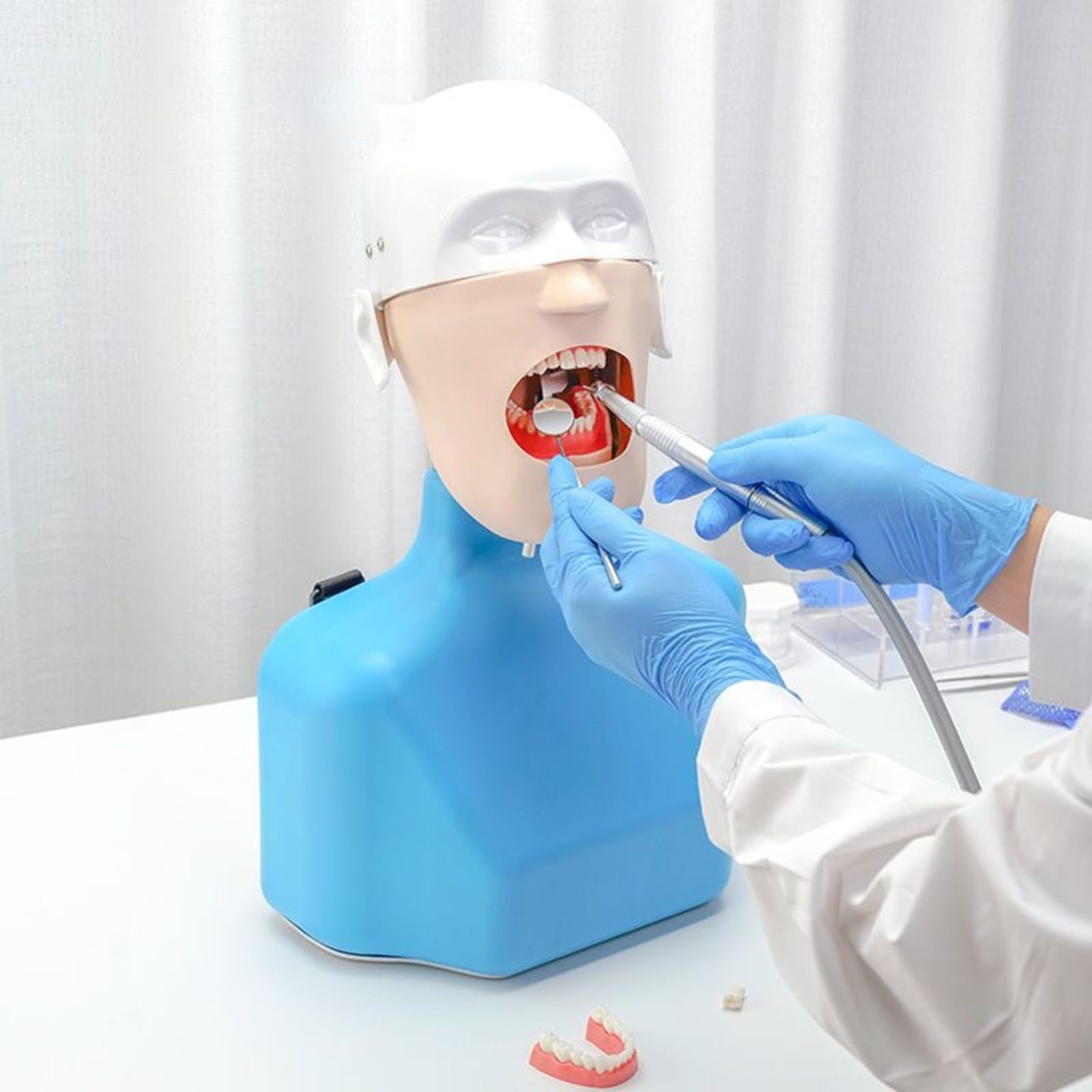 Symulator stomatologiczny manekina głowa fantomowa model edukacyjny z 28 odłączanymi zębami, narzędzie do praktyki dentystycznej, idealny do treningu stomatologicznego i rozwoju umiejętności