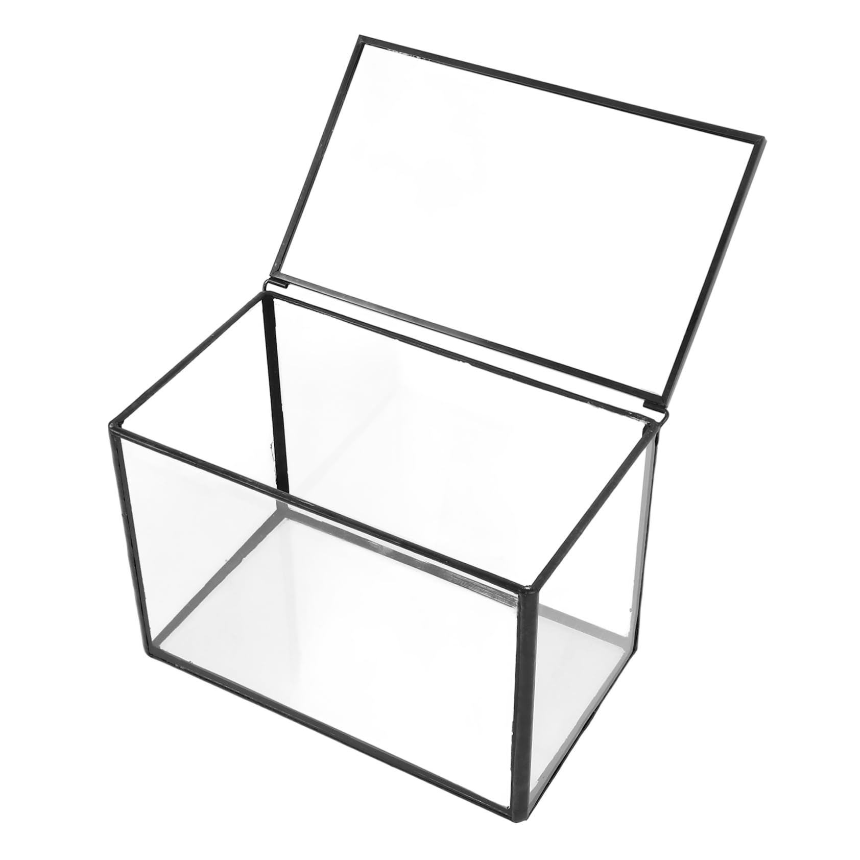 BESPORTBLE Terrario de Vidrio Contenedor Transparente para Plantas Suculentas, Maceta Resistente y Decorativa Adecuado para Decorar Habitaciones y Regalar