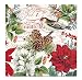 Michel Design Works NAP276 20 Count Merry and Bright 3 Ply Paper Cocktail Napkin, Multicolor