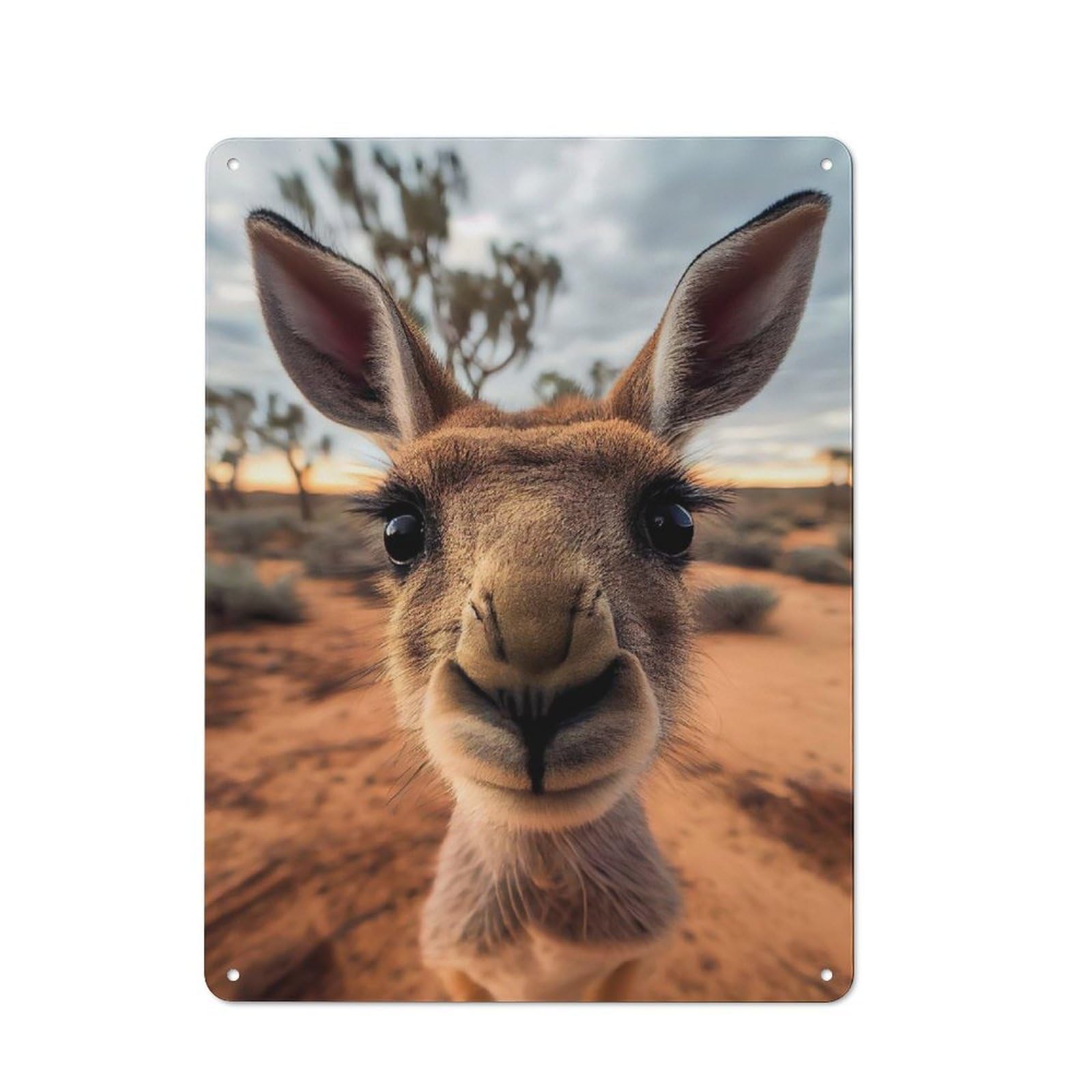 Junmoney Selfie Of A Young Kangaroo Rustic Metal Plaque 40X30cm For Dining Room Or Kitchen, A Housewarming Gift For Dining Room Decor Fans