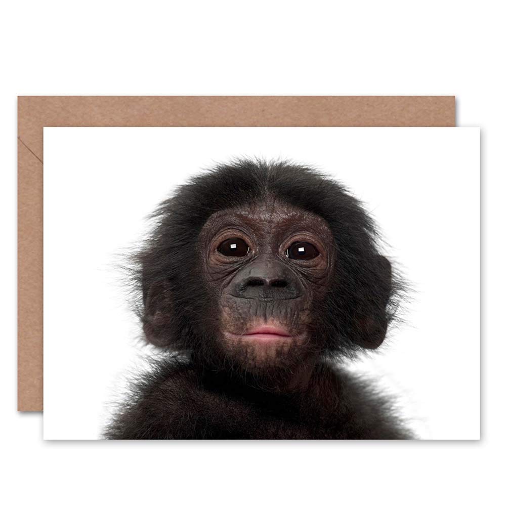 Wee Blue Coo ANIMAL BONOBO CHIMP CHIMPANZEE BABY YOUNG BIRTHDAY BLANK GREETINGS CARD